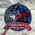 Toronto Sport Teams Sticker